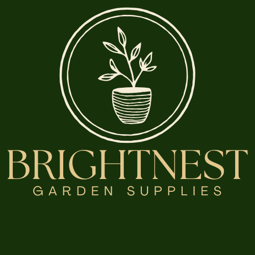 BrightNest Lighting